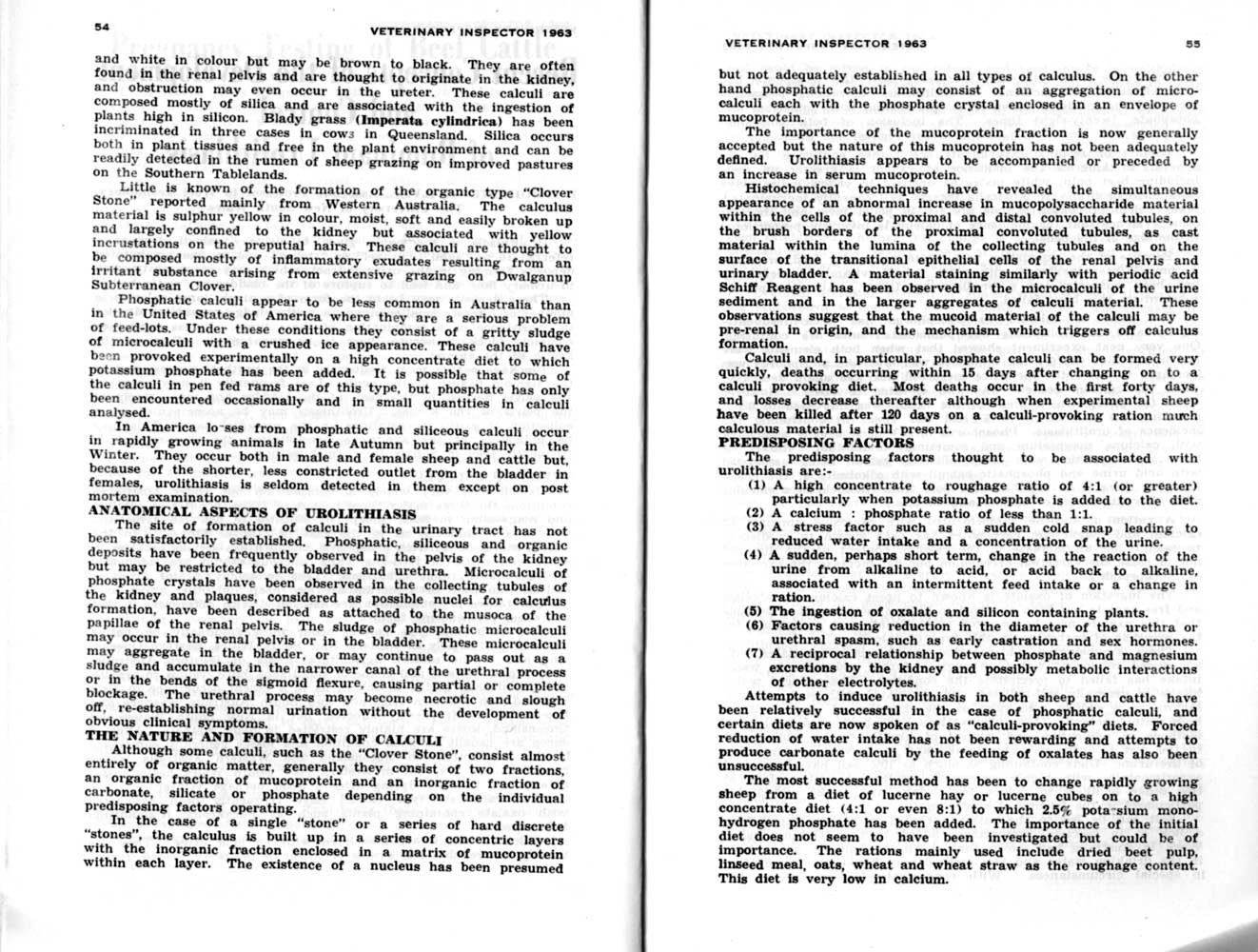 1963 Page 54 55
